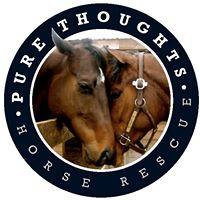 Pure Thoughts Horse Rescue, Inc.